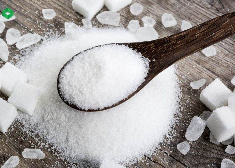ĐƯỜNG 11 ( SBE – ICE US )