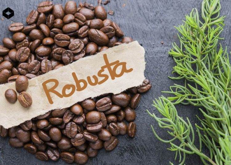 CÀ PHÊ ROBUSTA ( LRC – ICE EU )