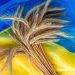 Ukraine Xuất Khẩu Hơn 46,3 Triệu Tấn Ngũ Cốc