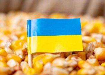 Xuất Khẩu Ngô Của Ukraine Đạt Gần Bằng Khối Lượng Năm Ngoái