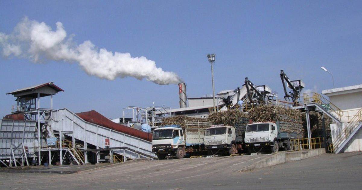 Giá Đường Giảm Do Đồng Real Brazil Yếu Đi