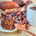 Giá Ca Cao Tăng Mạnh Do Lo Ngại Thiếu Hụt Nguồn Cung Kéo Dài