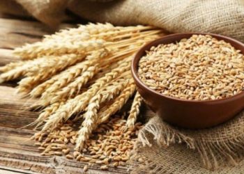 Dầu Thô Giảm Nhẹ Do Sức Mạnh Của Đồng USD Và Nguồn Cung Dầu Dồi Dào Của Mỹ