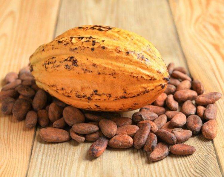 Giá Ca Cao Đạt Mức Tăng Vừa Phải