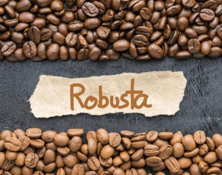 Giá Cà Phê Thế Giới Ngày 20/6 Tăng Mạnh Với Robusta