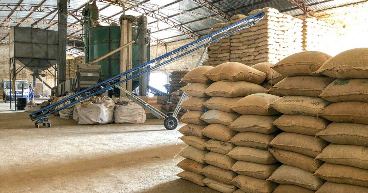 Giá Đường Giảm Do Lo Ngại Về Nguồn Cung Giảm Bớt