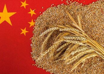 Trung Quốc Đề Xuất Hạn Chế Nhập Khẩu Ngũ Cốc Mới Để Tăng Giá Nội Địa