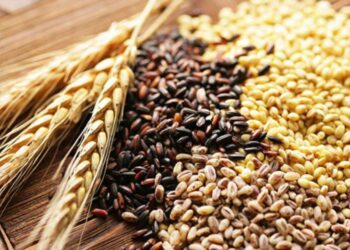 Giá Ngũ Cốc Bắt Đầu Ngày Giao Dịch Hỗn Hợp