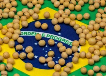 Kịch Bản Cho Thấy Sự Cải Thiện Nhẹ, Giá Tăng Và Giao Dịch Đậu Nành Khan Hiếm Ở Brazil