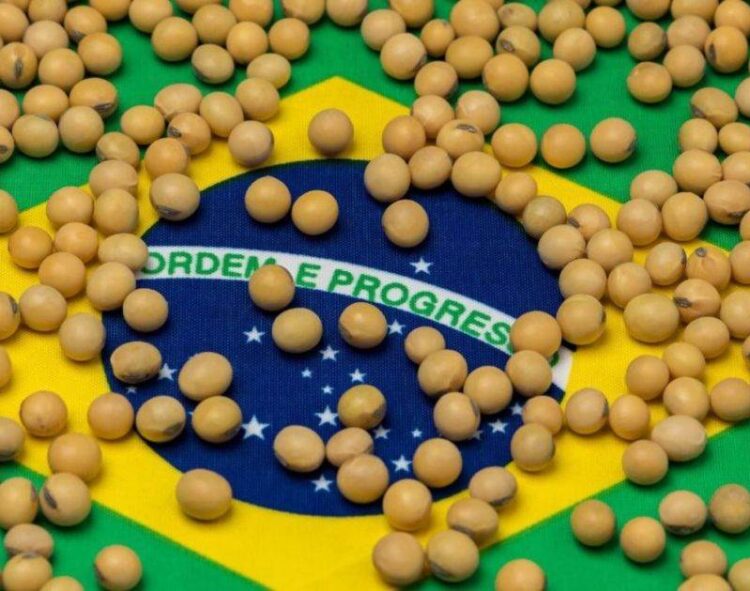 Kịch Bản Cho Thấy Sự Cải Thiện Nhẹ, Giá Tăng Và Giao Dịch Đậu Nành Khan Hiếm Ở Brazil