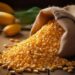 Brazil: Thị Trường Ngô Trong Nước Có Diễn Biến Tốt Trong Tuần Này Với Kịch Bản Tỷ Giá Hối Đoái