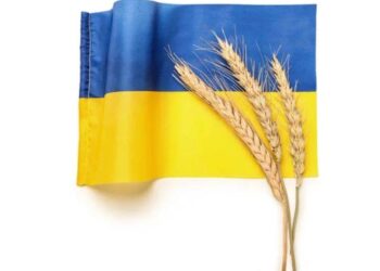 Góc Các Nhà Phân Tích: Giá Lúa Mỳ Ukraine Sẽ Tăng Do Sản Lượng Ngũ Cốc Toàn Cầu Suy Giảm
