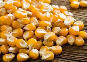 Ngô Đóng Cửa Phiên Giao Dịch Thứ Năm Với Một Mức Lỗ Nhỏ