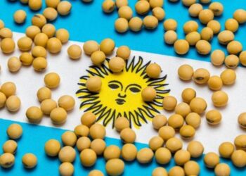 Ý Định Trồng Trọt Cho Thấy Tiềm Năng Thu Hoạch Đậu Nành Là 55 Triệu Tấn Ở Argentina Vào Năm 2024/25