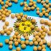 Ý Định Trồng Trọt Cho Thấy Tiềm Năng Thu Hoạch Đậu Nành Là 55 Triệu Tấn Ở Argentina Vào Năm 2024/25