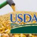Dự Báo Về Vụ Thu Hoạch Ngô Và Xuất Khẩu Từ Ukraine Trong Năm Tài Chính 2024/25 Giảm Nửa Triệu Tấn – Báo Cáo Của Usda