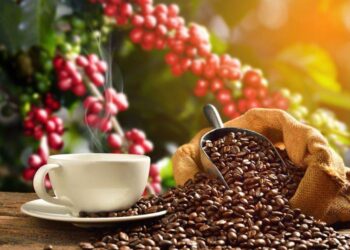 Xuất Khẩu Cà Phê Toàn Cầu Mạnh Mẽ Làm Giá Cà Phê Giảm
