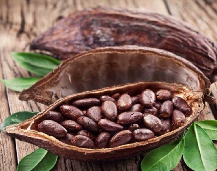Ghana tăng giá mua cacao lên 129%