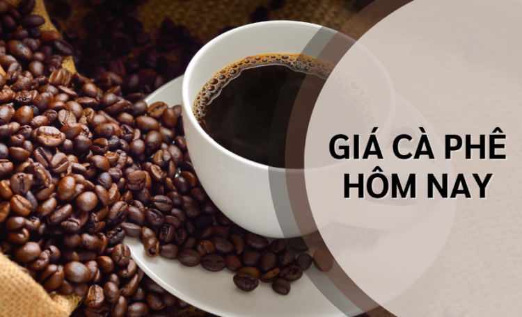 Giá cà phê hôm nay 21/4/2025: Tăng mạnh trong tuần qua, thị trường kỳ vọng tiếp diễn xu hướng tích cực