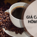 Giá cà phê hôm nay 21/4/2025: Tăng mạnh trong tuần qua, thị trường kỳ vọng tiếp diễn xu hướng tích cực