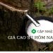 Ảnh minh họa: Giá cao su hôm nay 3/6: Thị trường biến động trái chiều, sản lượng toàn cầu bắt đầu phục hồi