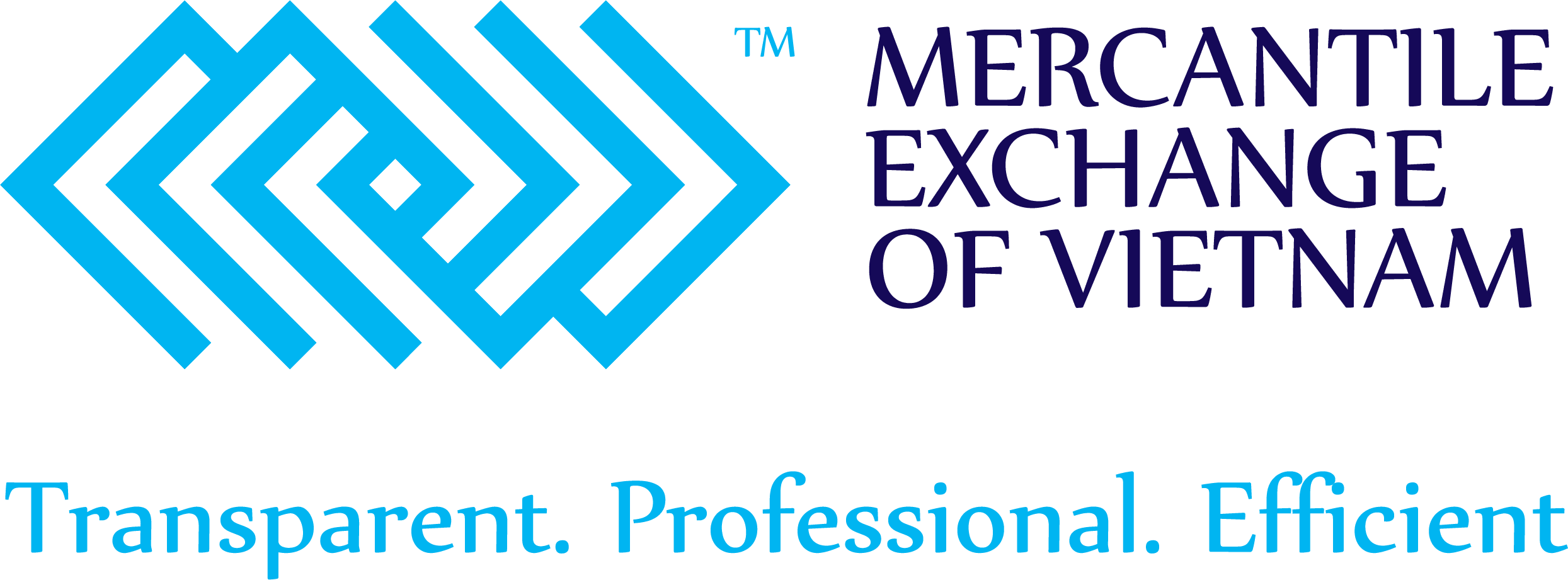 Logo MXV
