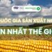top 6 các quốc gia sản xuất ngô lớn nhất thế giới.
