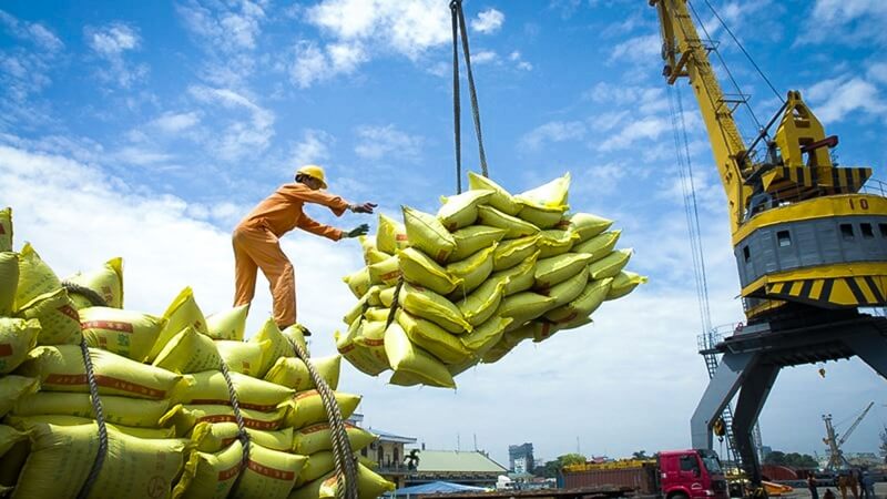 Xuất khẩu gạo Edu Trade