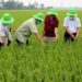 Bộ trưởng Trịnh Việt Hùng cho biết diện tích đất trồng lúa toàn quốc dự kiến giảm từ 3,568 triệu ha xuống 3,25 triệu ha, để dành quỹ đất cho các địa phương phát triển công nghiệp.