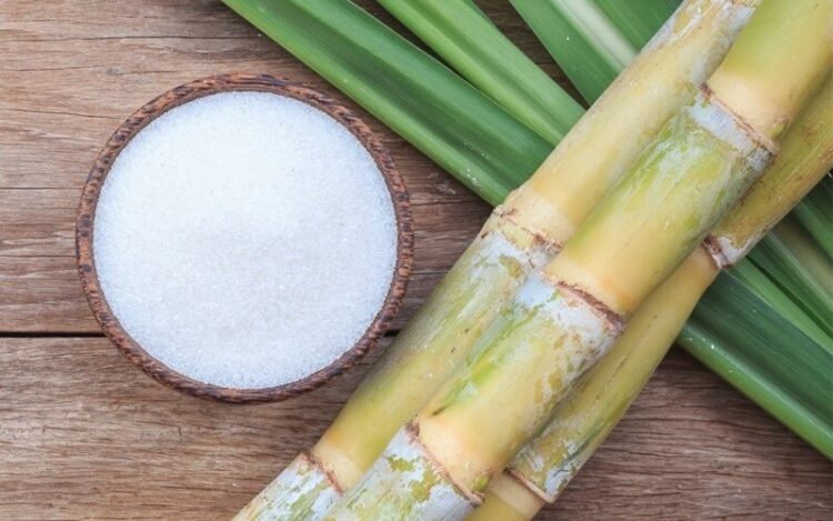 Ấn Độ: Ngành đường đề xuất tăng tỷ lệ pha trộn ethanol trước rủi ro nguồn cung dầu mỏ