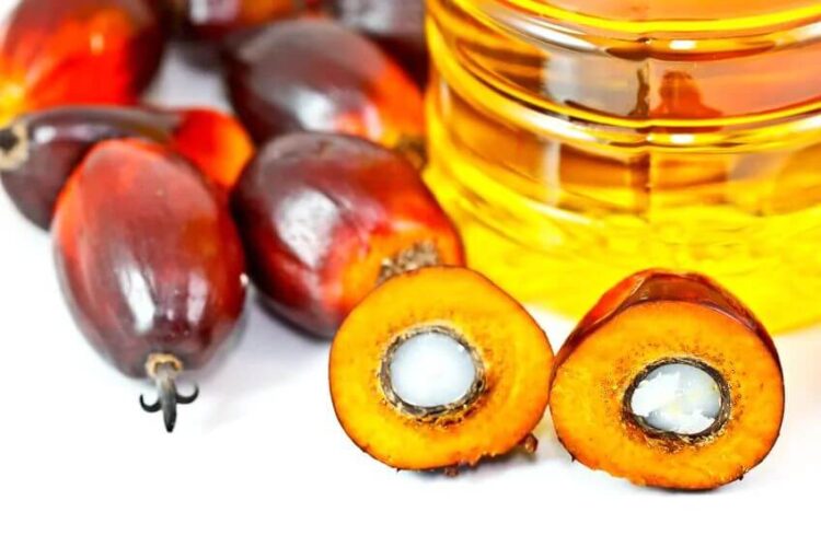 Dầu cọ là một trong những lĩnh vực bị ảnh hưởng nặng nề nhất bởi căng thẳng địa chính trị đang diễn ra ở Trung Đông, chủ yếu do nhu cầu suy yếu từ Iran, theo lời ông Datuk Seri Rizal Merican Naina Merican, Chủ tịch Tập đoàn Phát triển Thương mại Quốc tế Malaysia (Matrade).