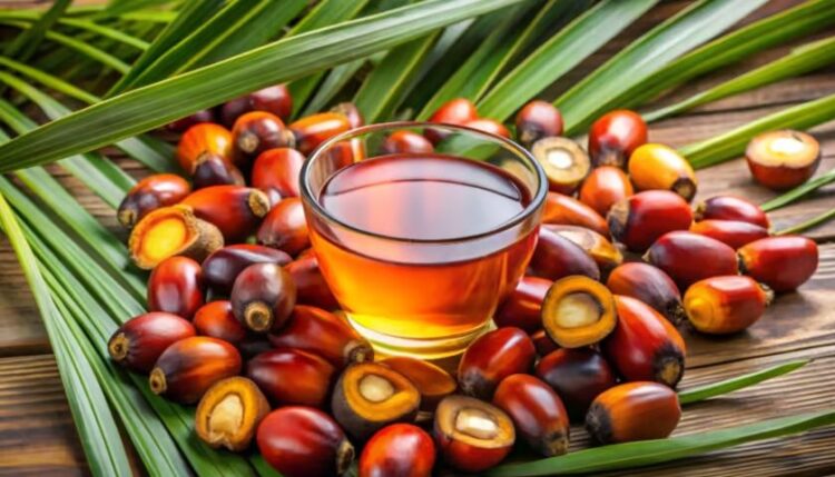Theo dự báo của Bộ Nông nghiệp Hoa Kỳ (USDA), sản lượng dầu cọ tại Indonesia trong niên vụ 2026/27 sẽ tăng 3% và đạt 48 triệu tấn so với 46,7 triệu tấn của năm trước. Động lực chính của sự tăng trưởng là các đồn điền được trồng trong giai đoạn 2021-2024, đang bước vào giai đoạn ra quả mạnh, cũng như việc sử dụng rộng rãi hơn các giống năng suất cao.