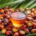 Theo dự báo của Bộ Nông nghiệp Hoa Kỳ (USDA), sản lượng dầu cọ tại Indonesia trong niên vụ 2026/27 sẽ tăng 3% và đạt 48 triệu tấn so với 46,7 triệu tấn của năm trước. Động lực chính của sự tăng trưởng là các đồn điền được trồng trong giai đoạn 2021-2024, đang bước vào giai đoạn ra quả mạnh, cũng như việc sử dụng rộng rãi hơn các giống năng suất cao.