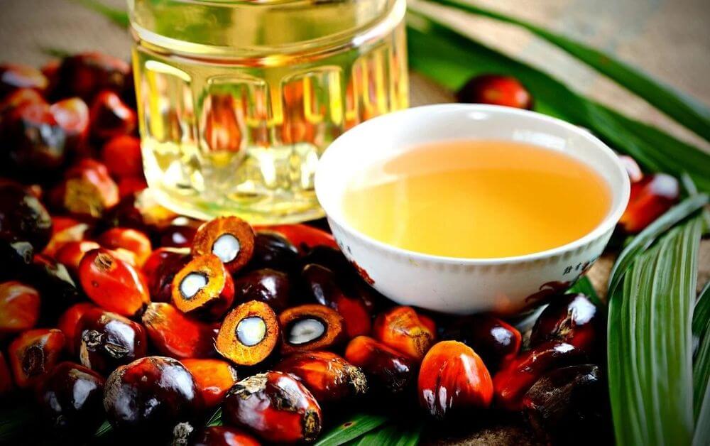 Giá dầu cọ đã tăng vào thứ Sáu Edu Trade