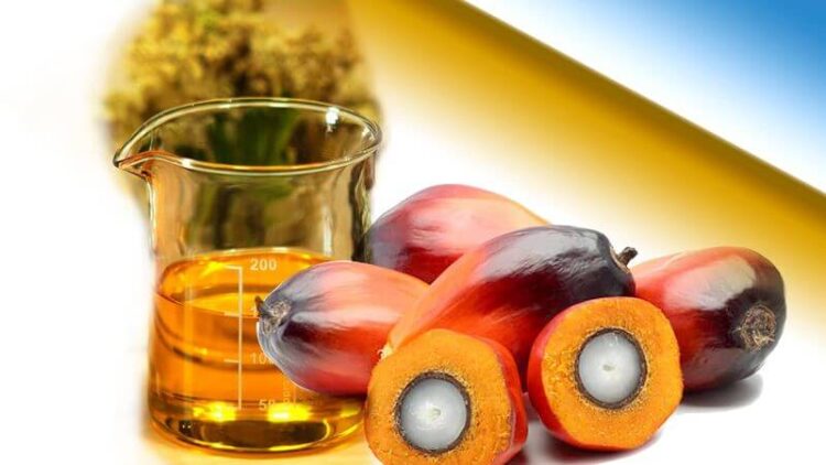 Giá dầu cọ tăng nhờ thị trường Trung Quốc khởi sắc hơn, giá dầu thô tăng cao và giá dầu đậu nành tăng vào ngày hôm trước, theo Abdul Hamid, giám đốc bán hàng của công ty Manzoor Trading có trụ sở tại Pakistan. Ông cho biết thêm, giá dầu tăng cao đang cải thiện hiệu quả kinh tế của nhiên liệu sinh học, và việc Indonesia nối lại kế hoạch tung ra B50 vào ngày 1 tháng 7 vẫn là một yếu tố quan trọng. Chênh lệch giá giữa dầu cọ và dầu đậu nành cũng có lợi cho dầu cọ, ông lưu ý, đồng thời cho biết thêm rằng giá dầu cọ thấp hơn đang tạo ra nhu cầu mạnh mẽ từ các thị trường trọng điểm.