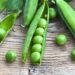 Đậu tương đậu nành Việt Nam