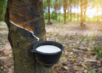 cao su, giá cao su, xuất khẩu cao su Việt Nam, thị trường cao su, cao su tự nhiên, ngành cao su, giá dầu Brent, dầu WTI, hàng hóa phái sinh, Edu Trade, nguyên liệu công nghiệp, đầu tư hàng hóa, thị trường hàng hóa toàn cầu.
