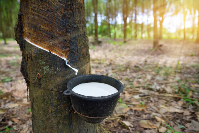 cao su, giá cao su, xuất khẩu cao su Việt Nam, thị trường cao su, cao su tự nhiên, ngành cao su, giá dầu Brent, dầu WTI, hàng hóa phái sinh, Edu Trade, nguyên liệu công nghiệp, đầu tư hàng hóa, thị trường hàng hóa toàn cầu.