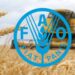 lúa mì, ngô, đậu tương, khô đậu tương, ngũ cốc thế giới, FAO, sản lượng ngũ cốc toàn cầu, giá lúa mì, giá ngô, thị trường nông sản, nông sản phái sinh, El Nino, xuất khẩu ngũ cốc, Edu Trade, hàng hóa phái sinh.